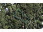 55 Glen Brook Road, Omiha, Waiheke Island - Carousel 1