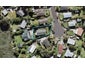 39 Calvin Place, Avondale, Auckland - Carousel 1