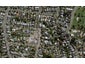 2 Rakau Street, Remuera, Auckland - Carousel 1