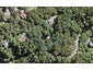 26 Kauri Loop Road, Oratia, Auckland - Carousel 1