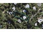 53 Hill Road, Palm Beach, Waiheke Island - Carousel 1