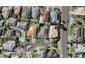 3 Brosna Place, East Tamaki, Auckland - Carousel 1