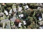 22 Aplin Place, Birkdale, Auckland - Carousel 1