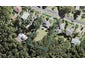 41 Minnehaha Avenue, Titirangi, Auckland - Carousel 1