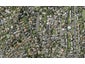 62 Reihana Street, Orakei, Auckland - Carousel 1