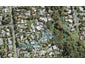 40D Konini Road, Titirangi, Auckland - Carousel 1