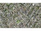4 Mcarthur Avenue, St Heliers, Auckland - Carousel 1