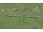 65 Tarapuka Road, Westgate, Auckland - Carousel 1