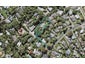 23A WEST LYNN RD, Titirangi, Auckland - Carousel 1