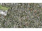 71B Glenmore Road, Sunnyhills, Auckland - Carousel 1