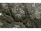 31 Wernham Place, Northcote, Auckland - Carousel 1