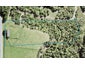36D Sophia Road, Mahurangi East, Warkworth - Carousel 1