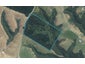 230 Otokia-Kuri Bush Road East, Kuri Bush, Dunedin - Carousel 1