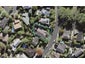 104 Porritt Avenue, Chatswood, Auckland - Carousel 1