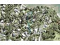 66 Jamieson Road, Mahurangi West, Warkworth - Carousel 1