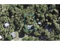 16 Warner Park Avenue, Laingholm, Auckland - Carousel 1
