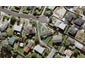 23A Florence Daly Place, Mount Roskill, Auckland - Carousel 1