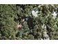 13 Brownie Road, Laingholm, Auckland - Carousel 1