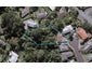 61 Essex Street, Vogeltown, New Plymouth - Carousel 1