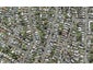 38B Finch Street, Morningside, Auckland - Carousel 1