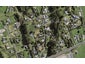 14 Everlea Place, Alfriston, Auckland - Carousel 1