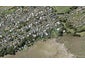 113 Norwood Road, Bayswater, Auckland - Carousel 1