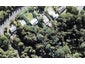 800 West Coast Road, Oratia, Auckland - Carousel 1