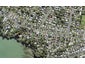 47 Beach Haven Road, Beach Haven, Auckland - Carousel 1