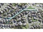 81F Fairview Avenue, Fairview Heights, Auckland - Carousel 1