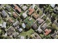 5E Deuxberry Avenue, Northcote, Auckland - Carousel 1