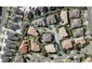 11 Kaseng Place, East Tamaki Heights, Auckland - Carousel 1