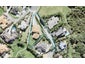 55 Clansman Terrace, Gulf Harbour, Whangaparaoa - Carousel 1