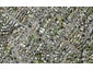 25 Kildare Avenue, Glendowie, Auckland - Carousel 1