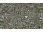 167 Mount Smart Road, Onehunga, Auckland - Carousel 1