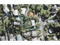 5C Reynolds Place, Torbay, Auckland - Carousel 1