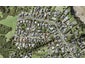 10 Micawber Place, Mellons Bay, Auckland - Carousel 1