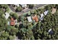 24 Daffodil Street, Titirangi, Auckland - Carousel 1