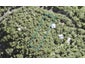 69 Lone Kauri Road, Karekare, Auckland - Carousel 1