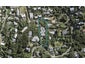 23 Tiri View Road, Palm Beach, Waiheke Island - Carousel 1