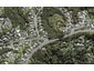 226 Greenhithe Road, Greenhithe, Auckland - Carousel 1