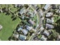 113 Methuen Road, New Windsor, Auckland - Carousel 1