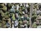 43 Hellyers Street, Birkdale, Auckland - Carousel 1