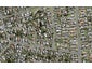 8 Waitaki Street, Henderson, Auckland - Carousel 1