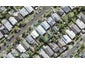 17 Chester Avenue, Westmere, Auckland - Carousel 1