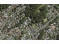 13 Scenic Drive, Hillpark, Auckland - Carousel 1