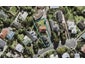 2/10 Mcilroy Avenue, Hillsborough, Auckland - Carousel 1