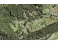 6 Seibel Road, Henderson Valley, Auckland - Carousel 1