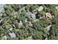 720 West Coast Road, Oratia, Auckland - Carousel 1