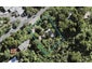 258 Scenic Drive, Titirangi, Auckland - Carousel 1