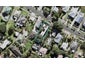 24A Springfield Road, Morningside, Auckland - Carousel 1